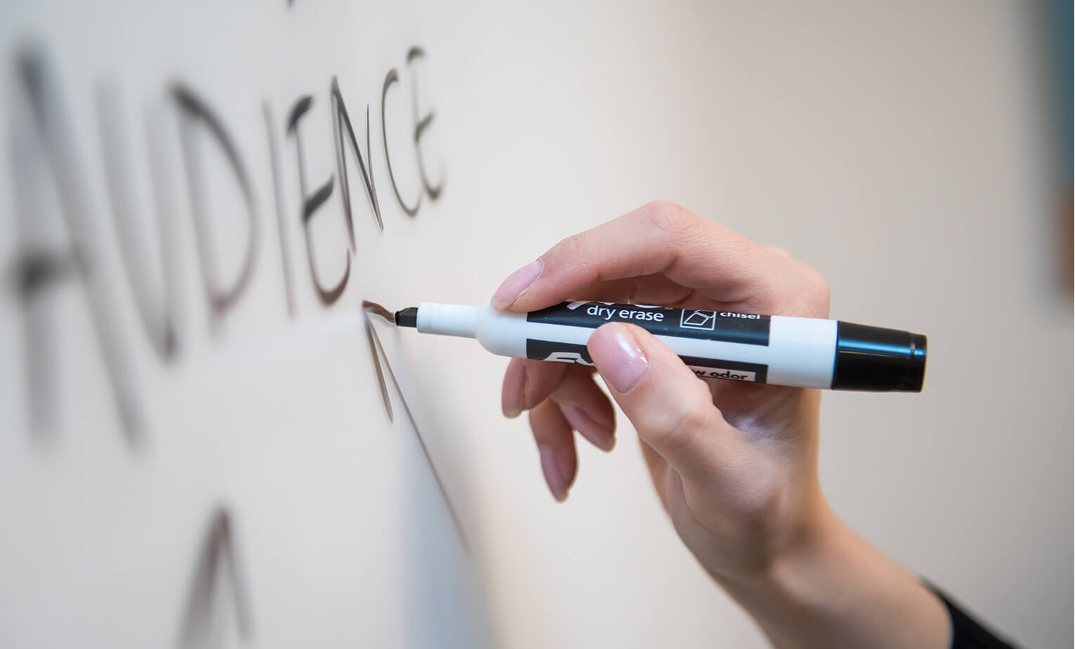 Harness Racing Betting on LK988 CITIBET